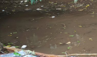 Crime ambiental provoca mortandade de peixes no Rio Quatro Pontes e revolta moradores