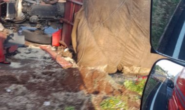 Caminhão carregado com feno tomba na BR-163