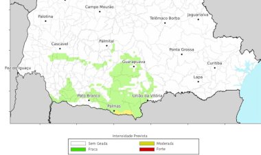 Simepar alerta para risco de geada no Paraná neste domingo; Oeste pode registrar temperaturas próximas de 0°C