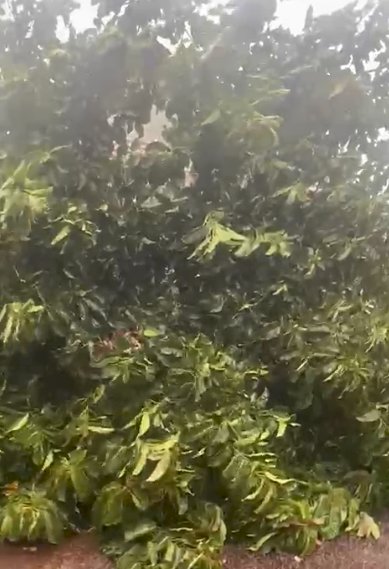 Temporal provoca destruição e deixa centenas sem energia em Maripá; o telhado de uma casa foi arrancado por inteiro