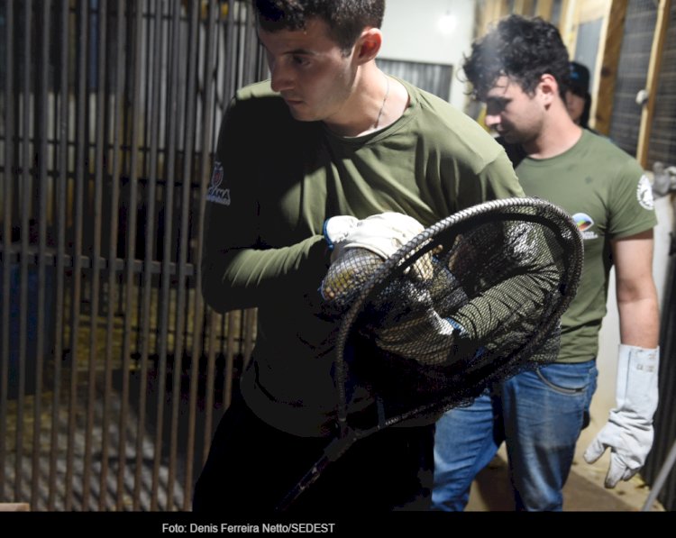 Criadouro irregular com animais silvestres é multado em R$ 67 mil no Paraná