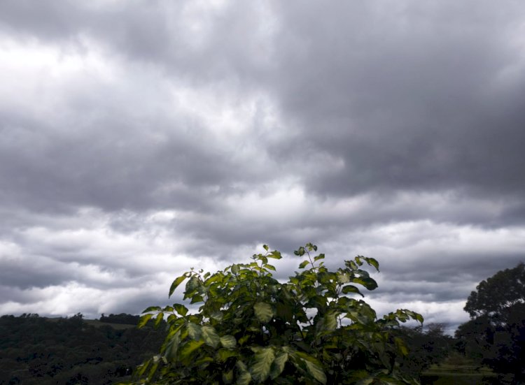 Frente fria traz chuva ao Oeste do Paraná após longo período de estiagem em alguns municípios