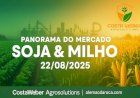 Panorama do Mercado de Soja e Milho – 22/08/2025
