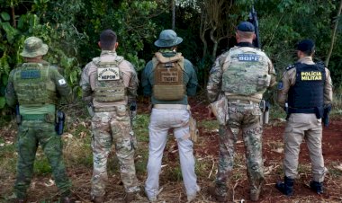 Operação Sinergia II resulta em mais de 270 prisões e 12 toneladas de drogas apreendidas no Paraná