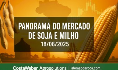 PANORAMA DO MERCADO DE SOJA E MILHO 18/08/2025