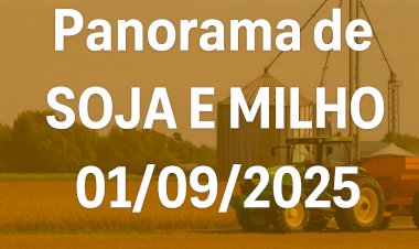 Panorama de Mercado da Soja e do Milho — 01/09/2025