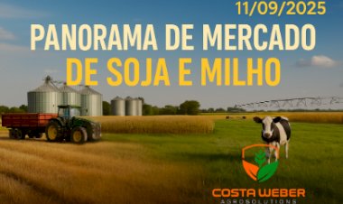 Panorama do Mercado de Soja e Milho em 11/09/2025