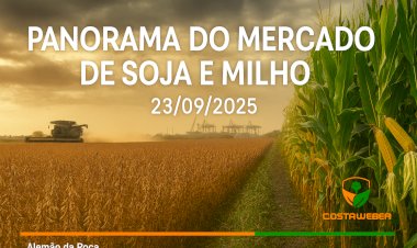 PANORAMA DO MERCADO DE SOJA E MILHO EM 23/09/2025