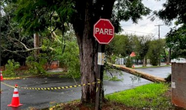 TEMPORAL PROVOCA ESTRAGOS E DEIXA CIDADES DO OESTE DO PARANÁ SEM ENERGIA ELÉTRICA