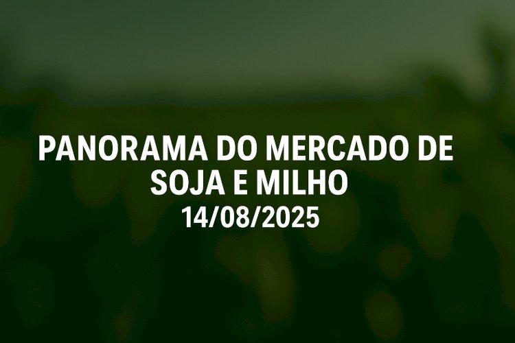 PANORAMA DO MERCADO DE SOJA E MILHO 14/08/2025