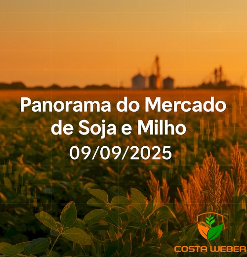 Panorama do Mercado de Soja e Milho 09/09/2025
