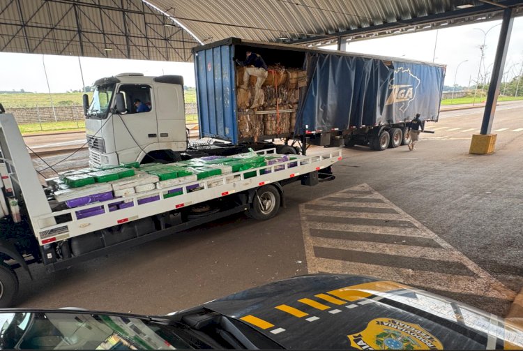 PRF apreende quase 3 toneladas de maconha escondidas em carga de papelão
