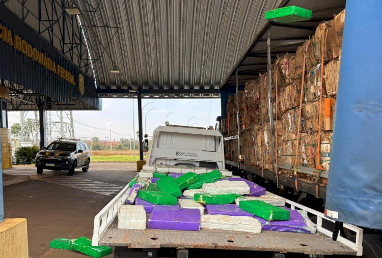 PRF apreende quase 3 toneladas de maconha escondidas em carga de papelão
