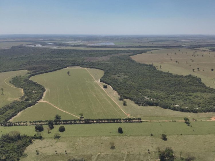 Polícia Ambiental embarga fazenda onde foram encontrados corpos em Icaraíma e aplica multa de R$ 7,5 milhões