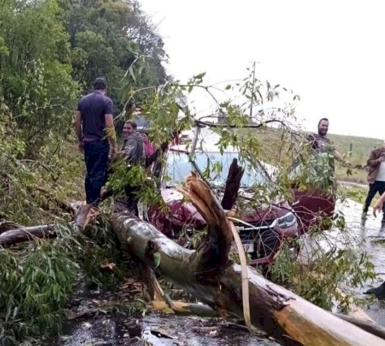 Confirmado o alerta do INMET , temporal atinge o sudoeste e Oeste do Paraná