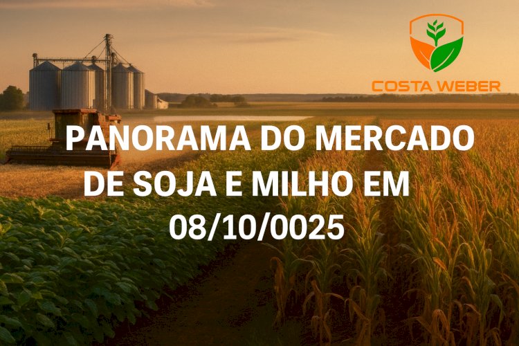 PANORAMA DO MERCADO DA SOJA E MILHO EM 08/10/2025