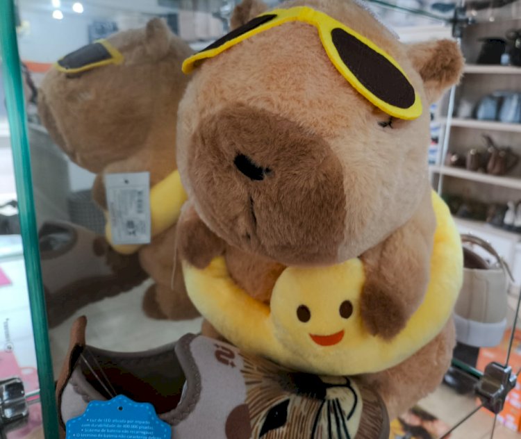 DIA DAS CRIANÇAS: ótica Davisão  com 50