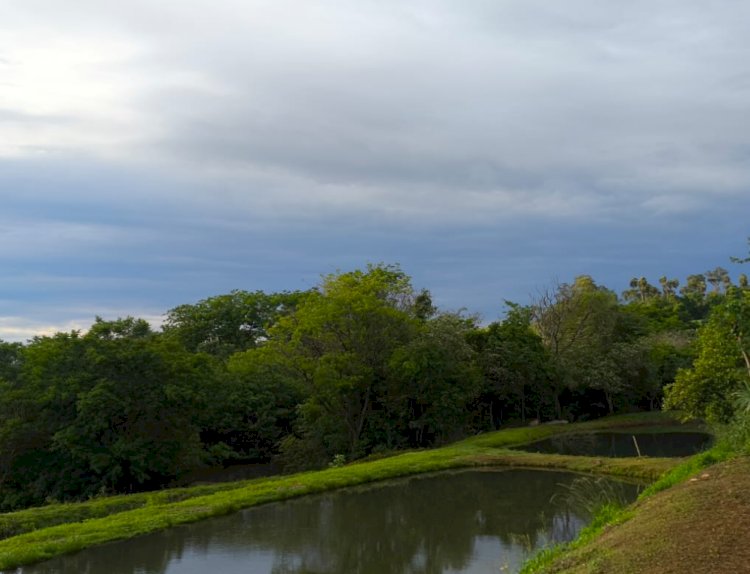 Chuva chegando em Marechal Cândido Rondon