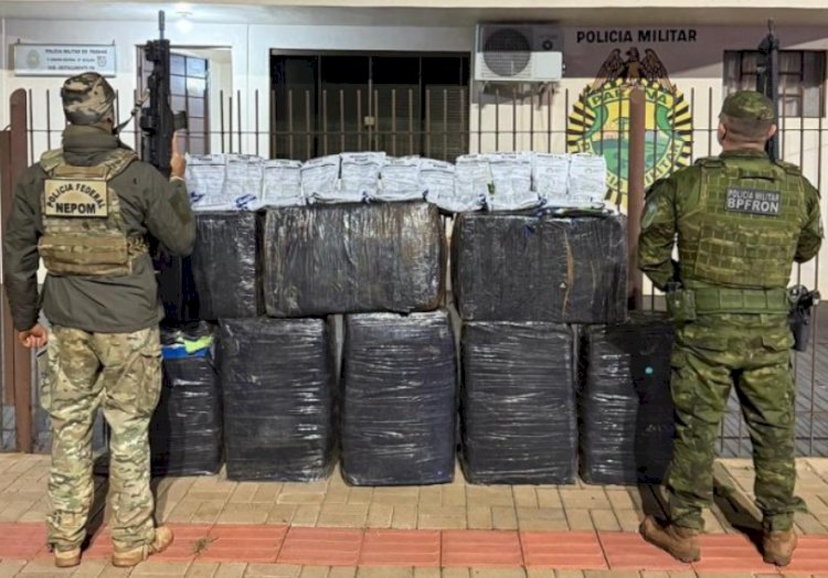 PF e BPFRON apreendem mais de 500 kg de agrotóxicos irregulares em Mercedes  Subtítulo: