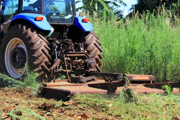 Prefeitura de Nova Santa Rosa intensifica limpeza de terrenos públicos durante o verão  Subtítulo: